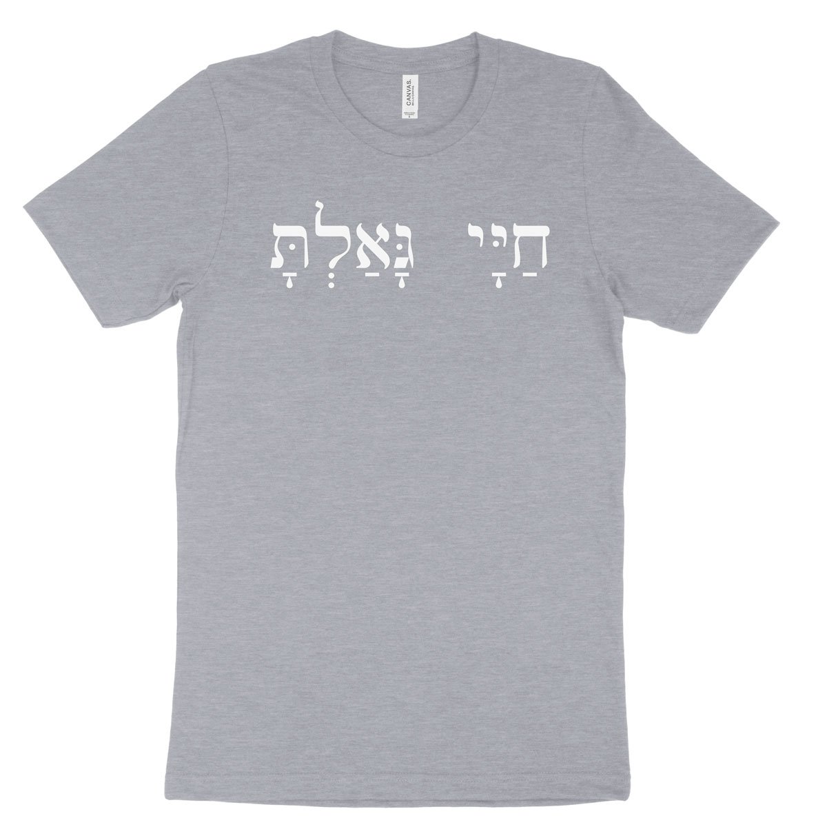 You Have Redeemed My Life (Hebrew) Tee | Missional Wear